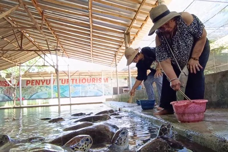 Bali Private Tour - Bali Turtle Feeding and Conservation island tour