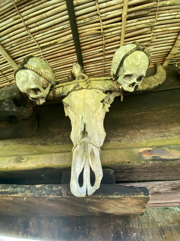 Manila Private Tour - Skull and bones collected by the locals of the village