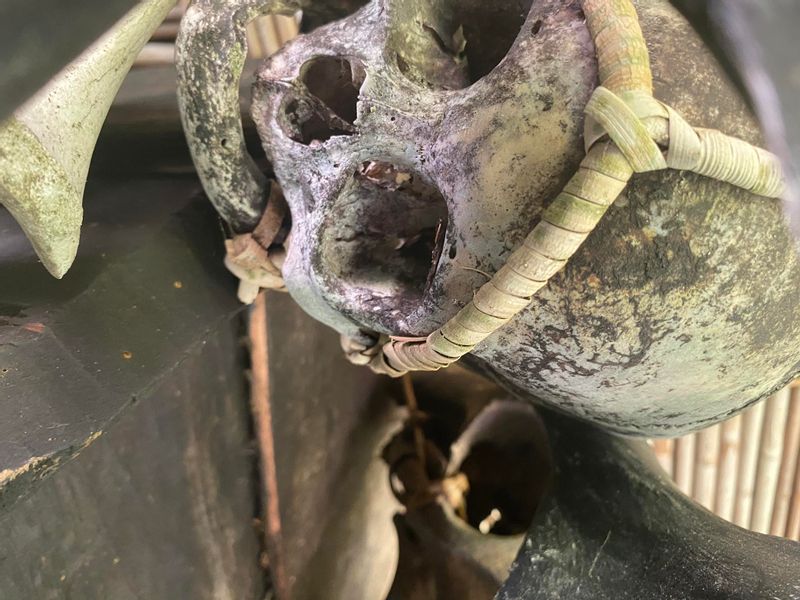 Manila Private Tour - Skull and bones collected by the locals of the village