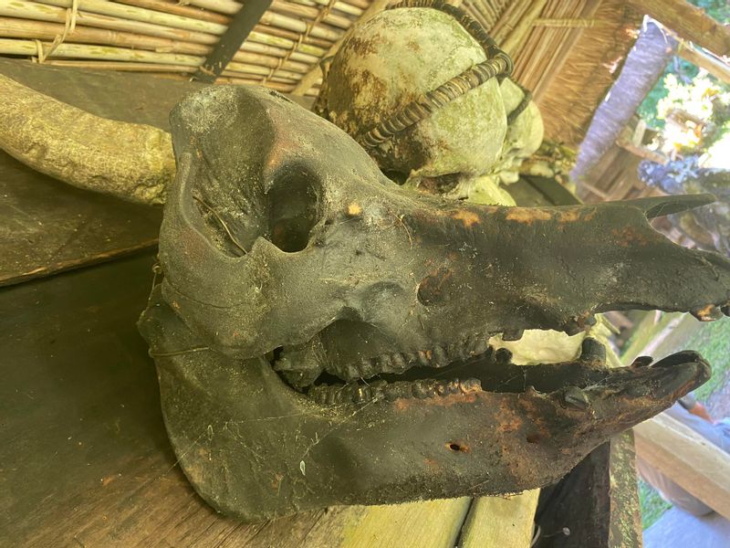 Manila Private Tour - Skull and bones collected by the locals of the village