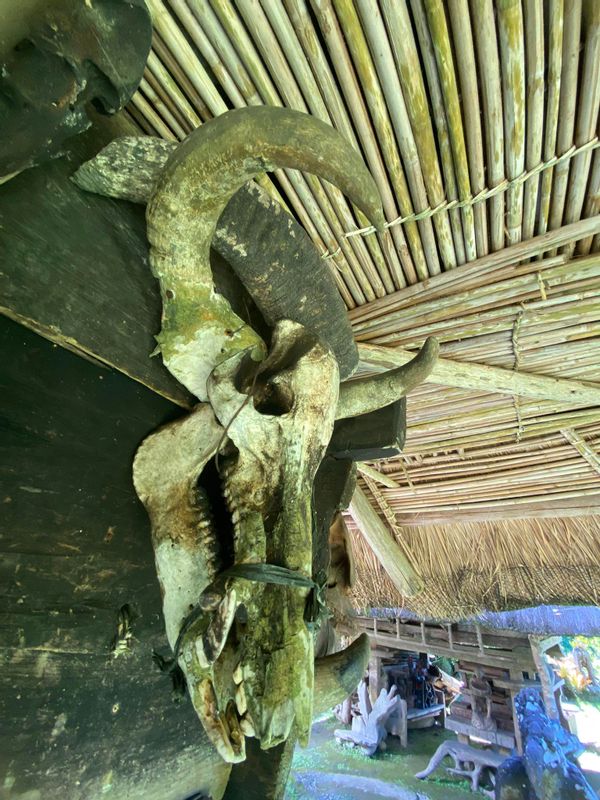 Manila Private Tour - Skull and bones collected by the locals of the village