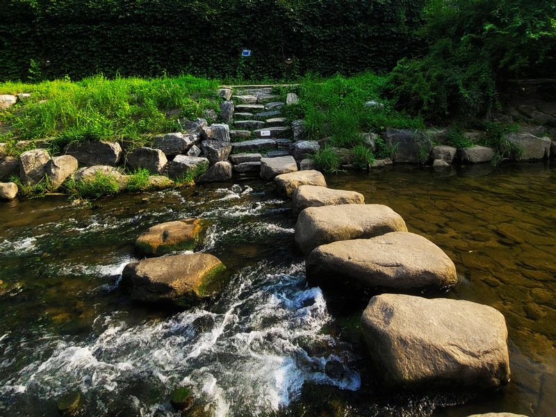 Seoul Private Tour - Cheonggyecheon stream