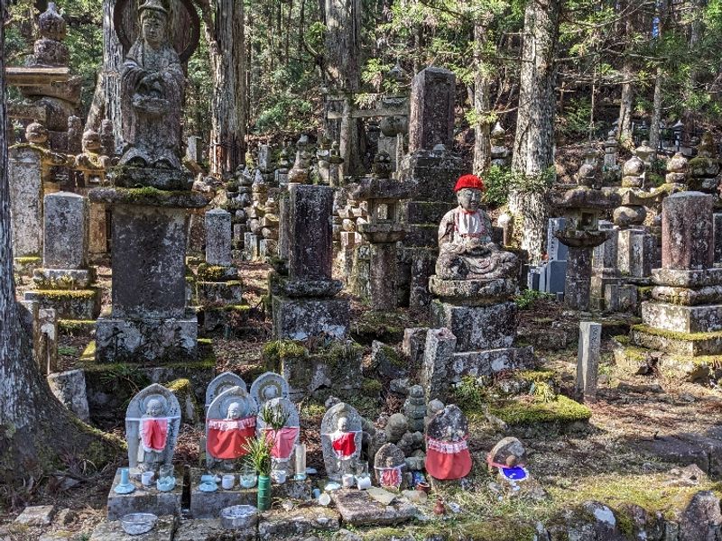 Mount Koya Private Tour - null