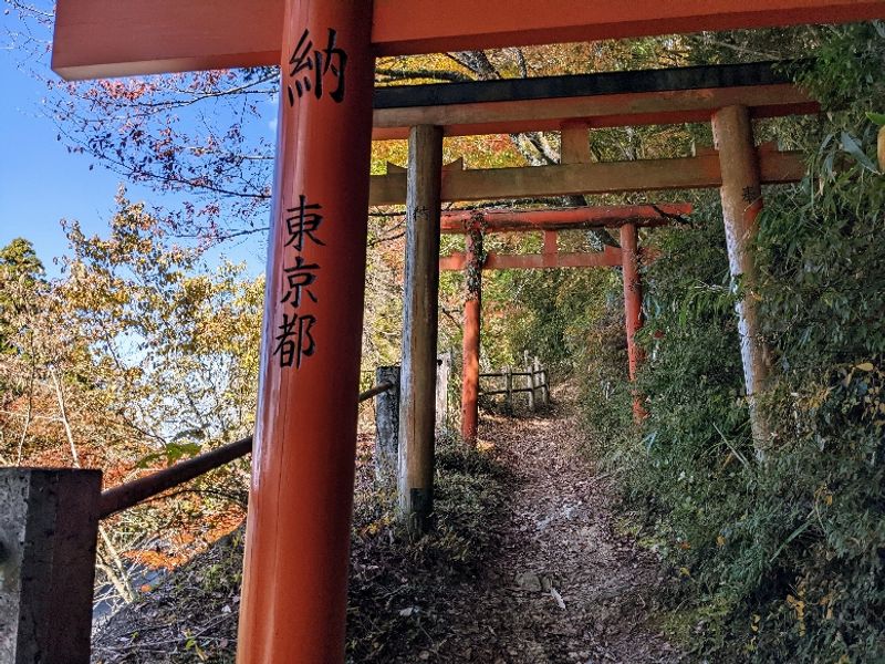 Mount Koya Private Tour - null