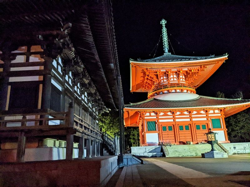 Mount Koya Private Tour - null