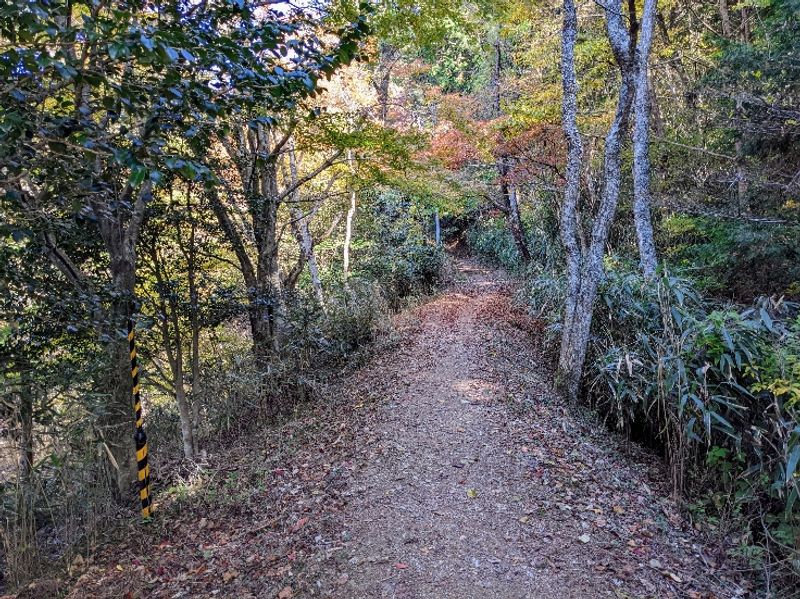 Mount Koya Private Tour - null