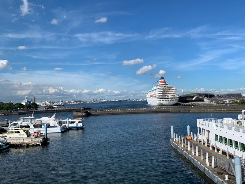 Yokohama Private Tour - Elephant’s Nose Pier