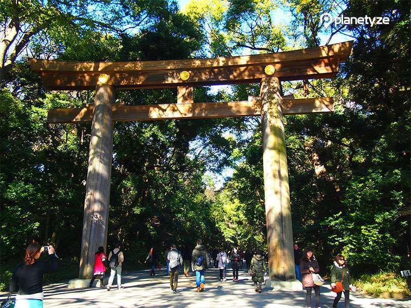 Tokyo Private Tour - Meiji Jingu Shrine is the most famous shrine in Japan where Emperor and Empress of Meiji are enshrined. 