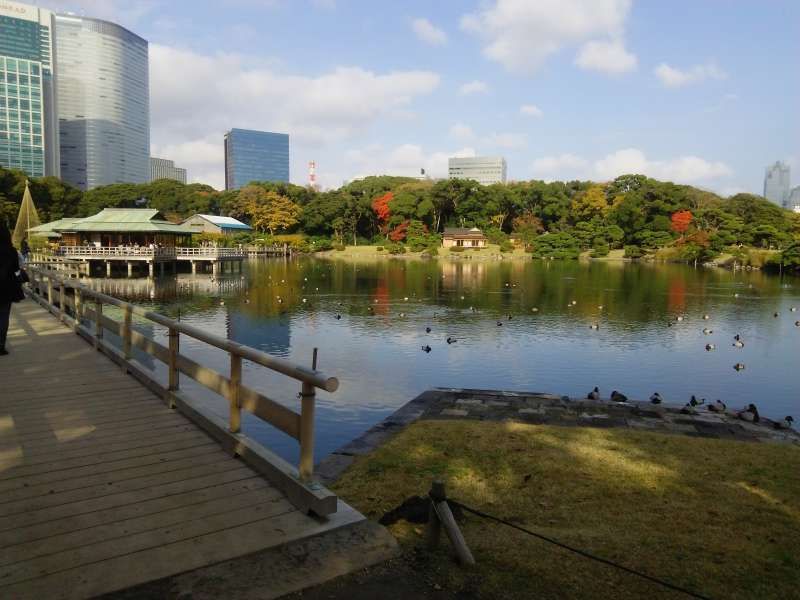 Tokyo Private Tour - Hama Rikyu Gardens is a beautiful Japanese garden in the center of Tokyo.