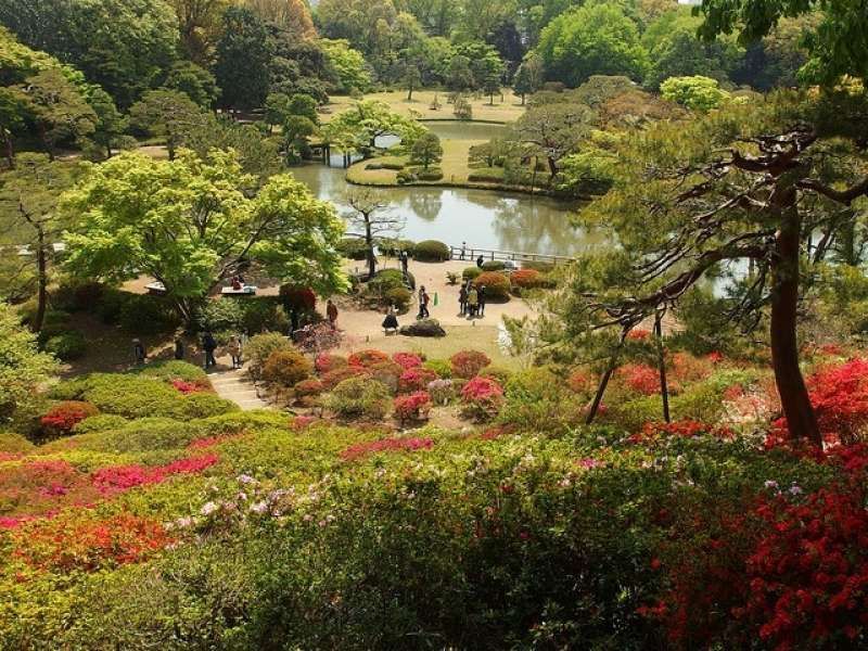 Tokyo Private Tour - Rikugien Gardens 