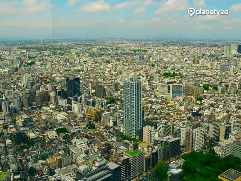 Tokyo Private Tour - Wonderful view from Observation Deck of the Tokyo Metropolitan Government Building.