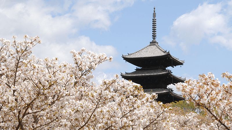 Kyoto Private Tour - Ninnaji Temple