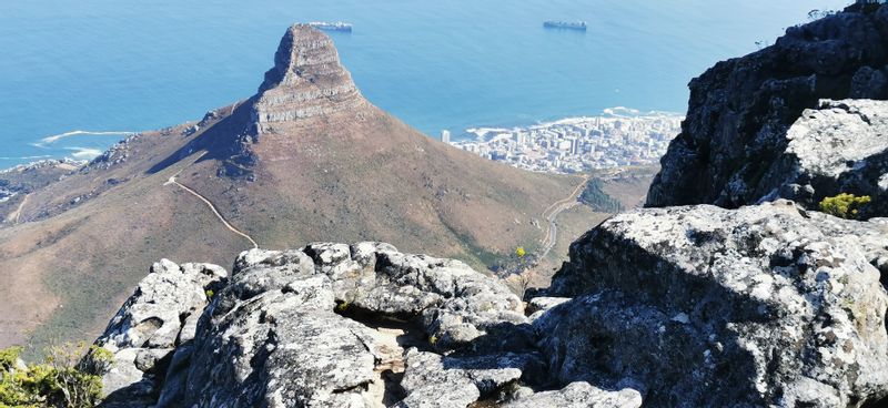 Cape Town Private Tour - 