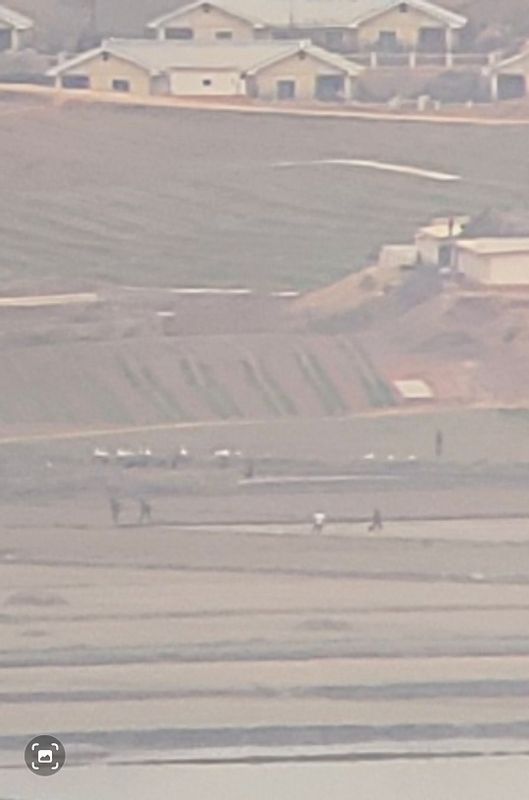 Seoul Private Tour - North Korean People Working in Fields and Farms Seen Through Binoculars at Dorasan Observatory