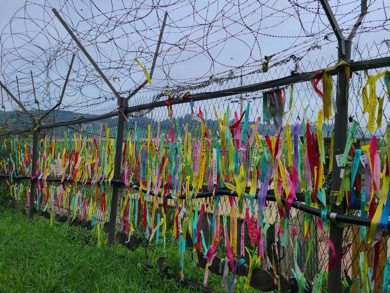 Seoul Private Tour - Ribbons Carrying the Aspiration for Unification