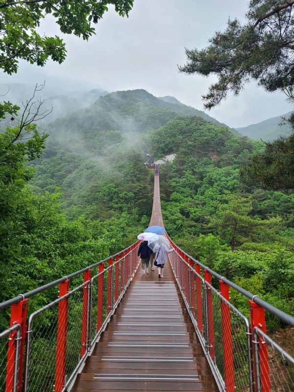 Seoul Private Tour - Gamaksan Suspension Bridge