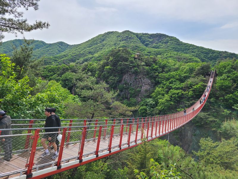 Seoul Private Tour - Gamaksan Suspension Bridge