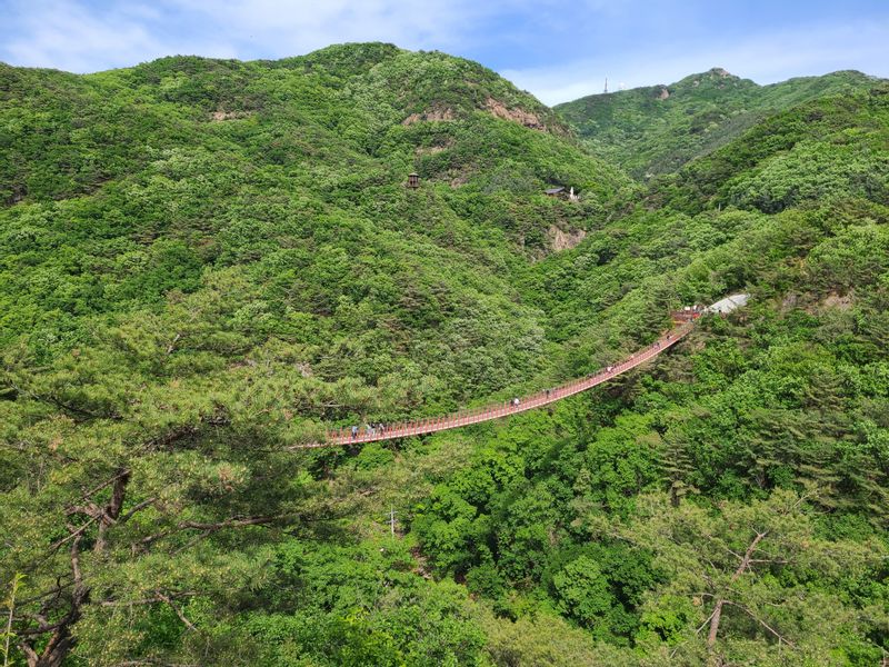 Seoul Private Tour - Overview of Gamaksan Suspension Bridge