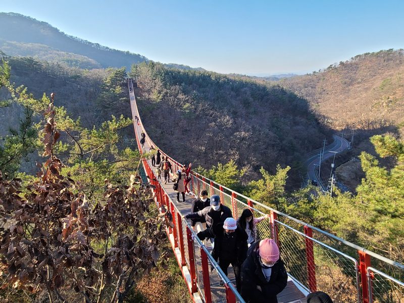 Seoul Private Tour - Gamaksan Suspension Bridge