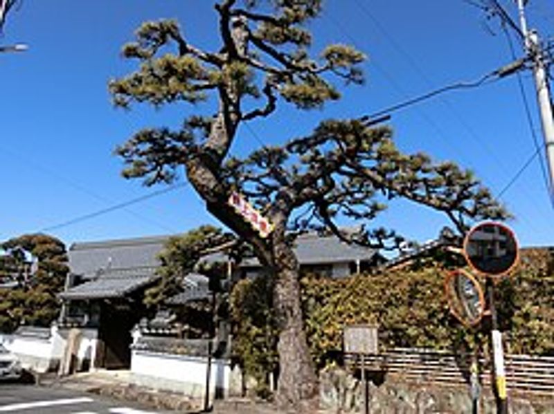 Gifu Private Tour - Temple  Zernshoji