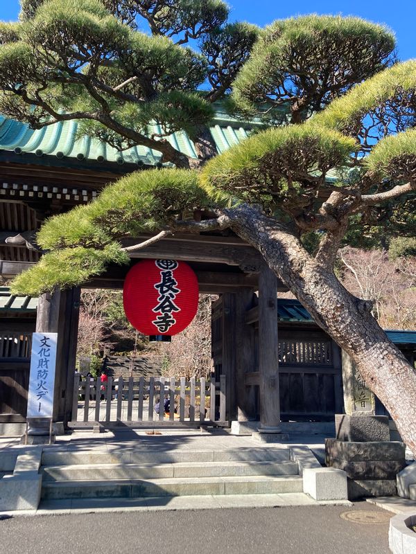 Kamakura Private Tour - Hase Temple