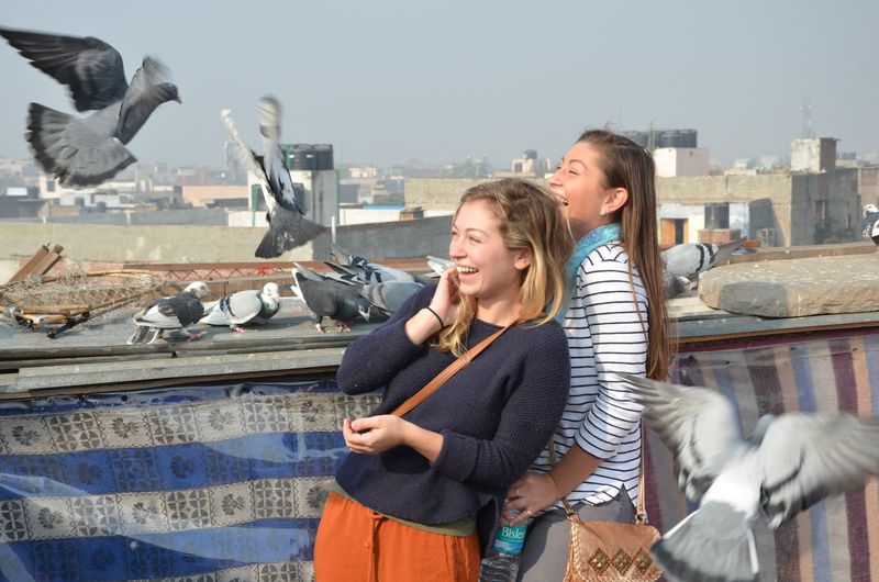 Delhi Private Tour - Pigeon Flying Game of Old Delhi