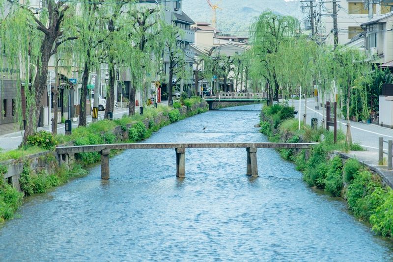 Kyoto Private Tour - Shirakawa River and Gyojya Bridge