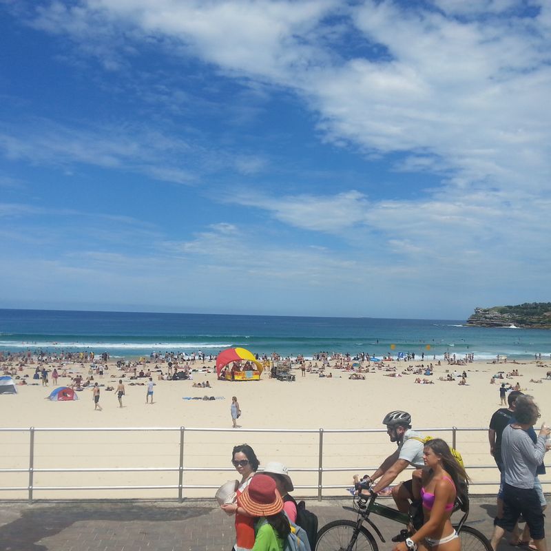 Sydney Private Tour - Famous Bondi Beach