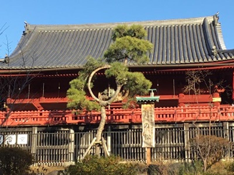 Tokyo Private Tour - Ueno :Shimizu Kannondo Temple in Ueno Park, the major park in Tokyo rich in nature.
Enjoy various traditional and cultural experiences there such as shrines, art & history museums. 