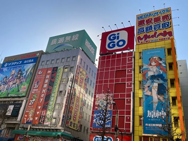 Tokyo Private Tour - Akihabara : Electronic Town with anime sanctuary.
Enjoy subcultural experiences such as anime goods shops, animal cafe, maid cafe.