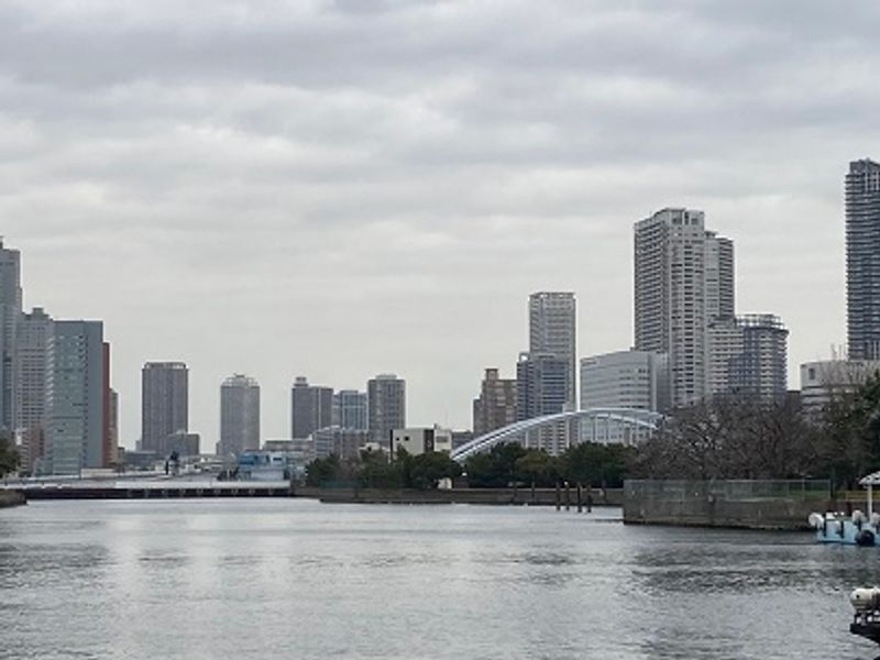 Tokyo Private Tour - Cruising : The best way for transportation from Asakusa to Odaiba. Going through the Sumida River, enjoy beautiful ocean view.