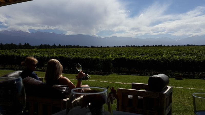 Mendoza Private Tour - null