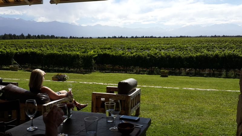 Mendoza Private Tour - null