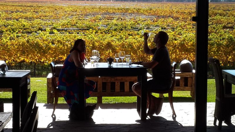 Mendoza Private Tour - null