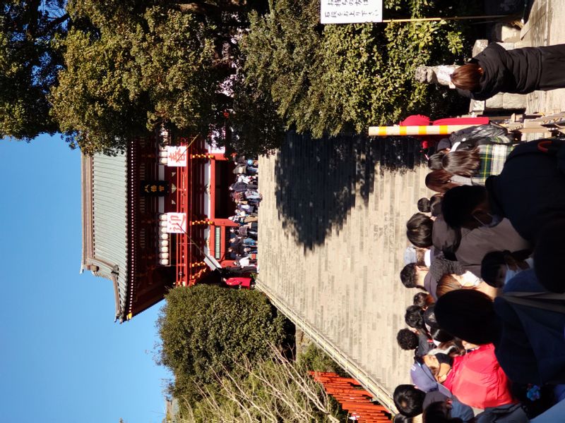 Kamakura Private Tour - Tsurugaoka Hachimangu Shrine in New Year day