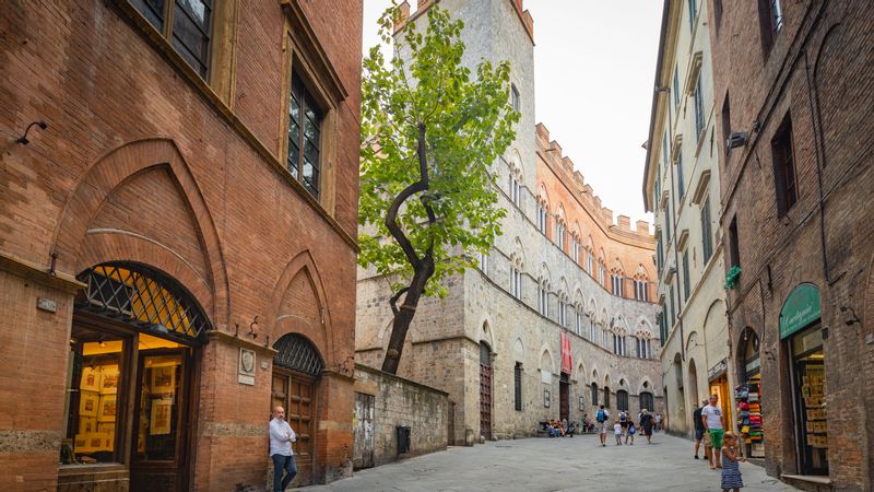 Rome Private Tour - Siena, street with palace