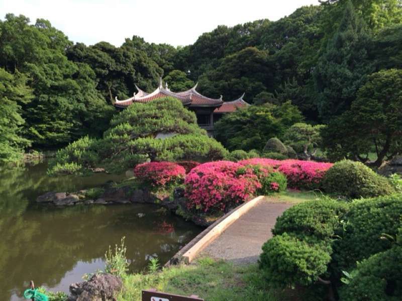 Tokyo Private Tour - Shinjuku Gyoen Garden in Shinjuku area