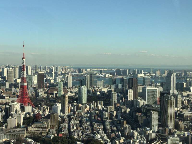 Tokyo Private Tour - A view from Tokyo City View at Roppongi Hills in Roppongi area