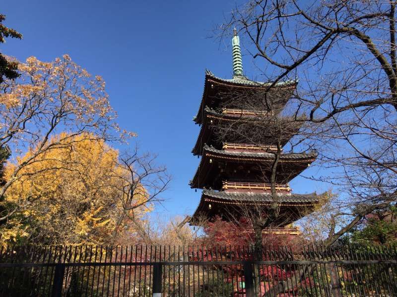 Tokyo Private Tour - A five-story pagoda at Ueno Park in Ueno area