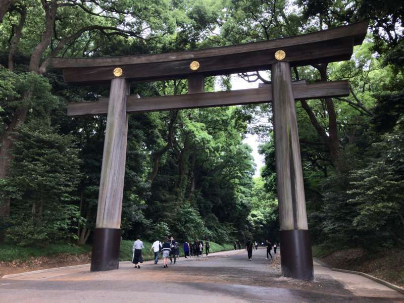 Tokyo Private Tour - A torii gate of Meiji Jingu Shrine enshrining the deified spirits of Emperor Meiji and Empress Shoken who led Japan's modernization, guarded by a magnificent forest, in Harajuku area 