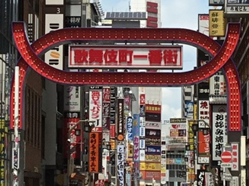 Tokyo Private Tour - Shinjuku; urban city with Kabuki cho (Neon) and Hanazono shrine along with Tokyo metropolitan buildings.