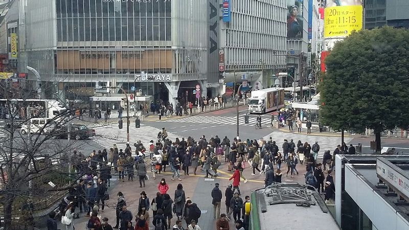 Tokyo Private Tour - Shibuya Crossing where you could enjoy walking while shooting video from other buildings.