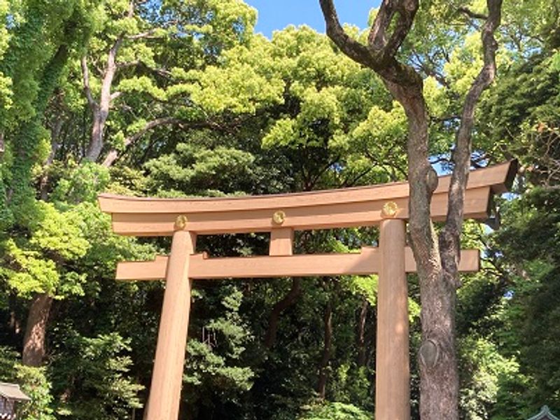 Tokyo Private Tour - Meiji Shirine, a major shrine in Tokyo.