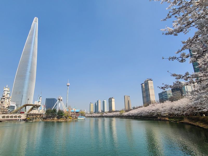 Seoul Private Tour - null