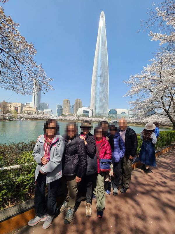 Seoul Private Tour - null