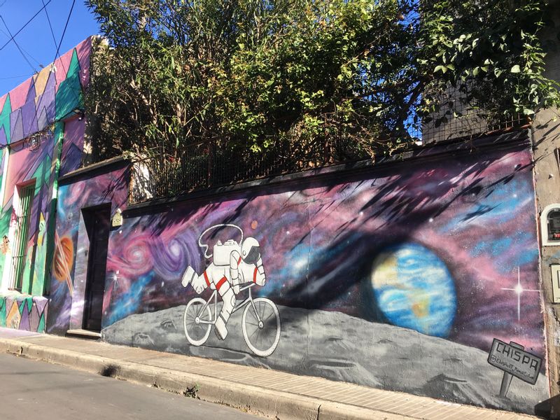 Buenos Aires Private Tour - Palermo Street Art