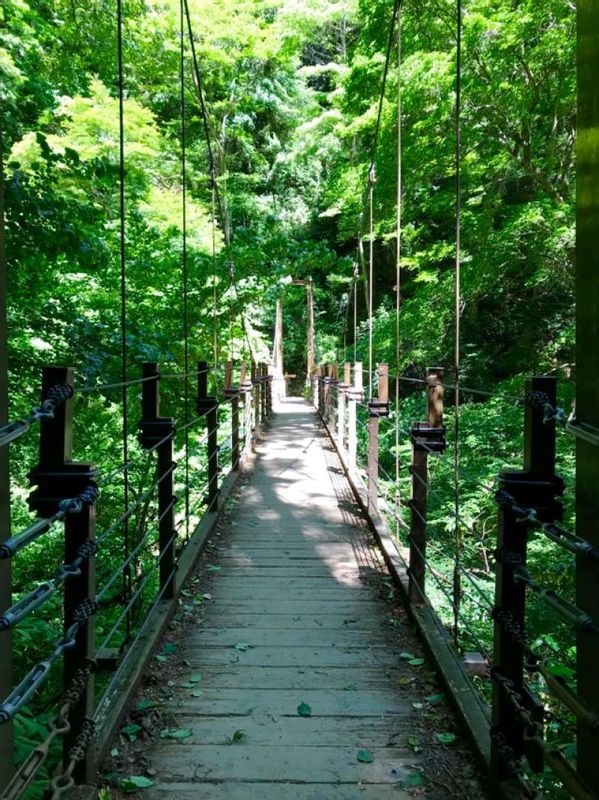 Tokyo Private Tour - Miyama Suspension Bridge