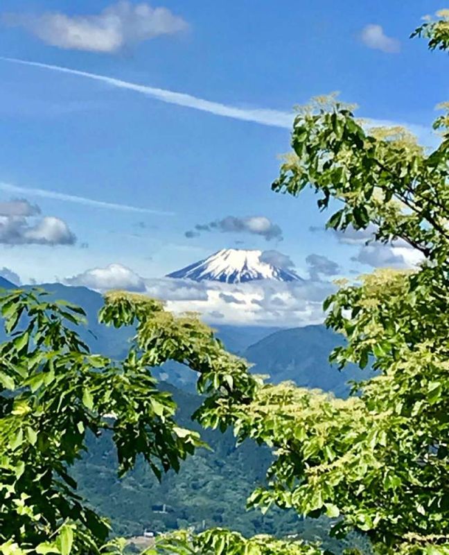 Tokyo Private Tour - Mt. Fuji from the summit in May
If the weather is clear, you can see beautiful Mt. Fuji ! 