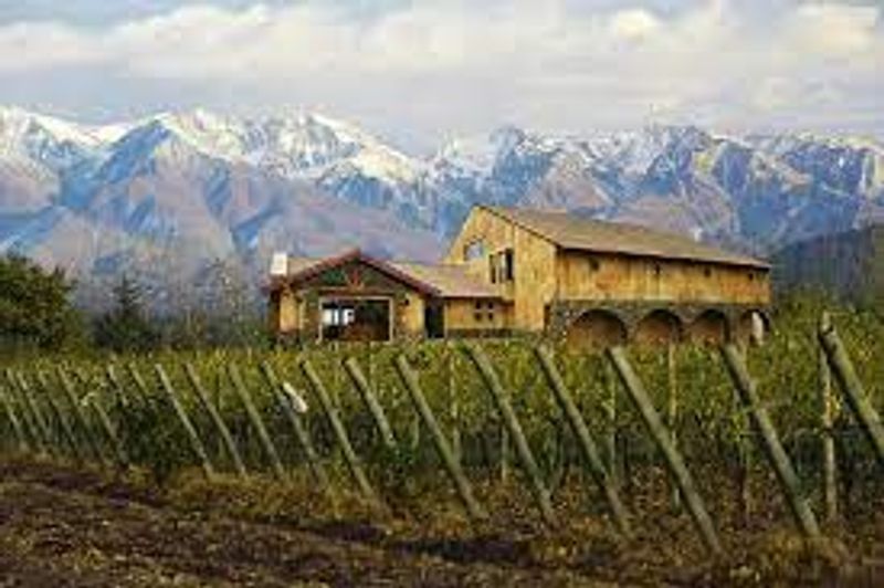 Mendoza Private Tour - Wine tasting and winery visit, Mendoza Argentina with Claudio P