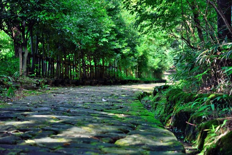 Gifu Private Tour - Sentier pavé d’OCHIAI